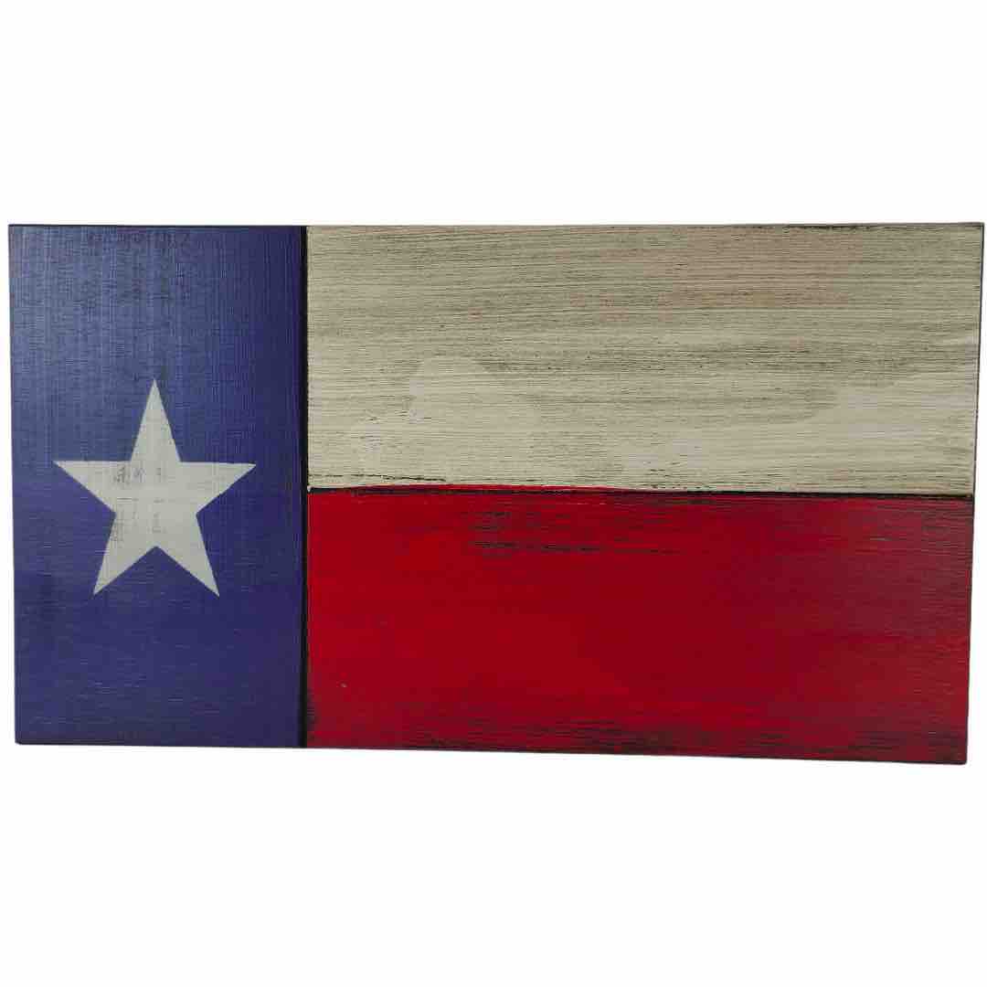 Mini Texas State Flag case